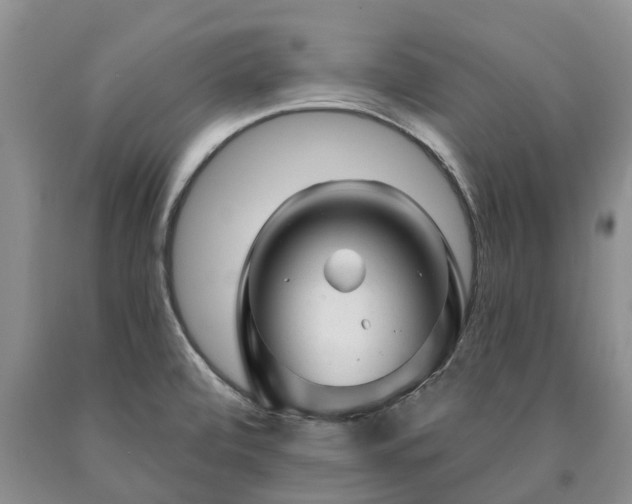 X0000090611472200707241055