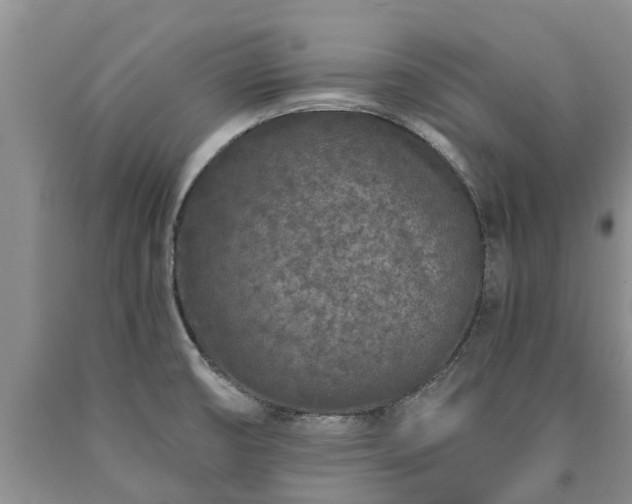 X0000090611474200707241055