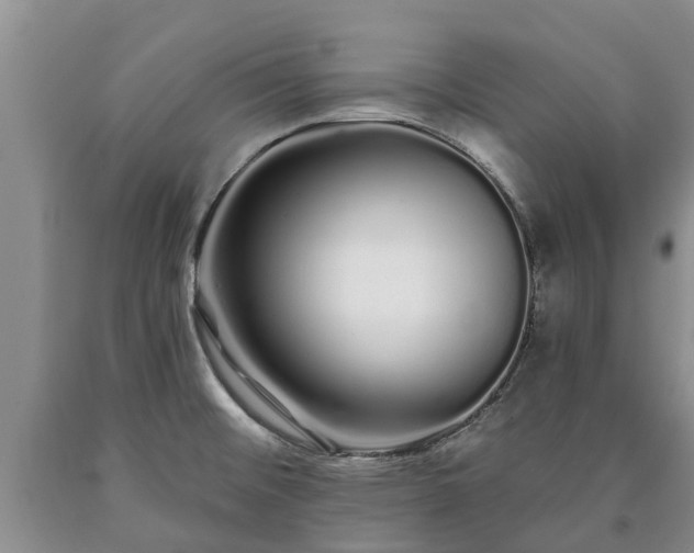 X0000090611476200707241055