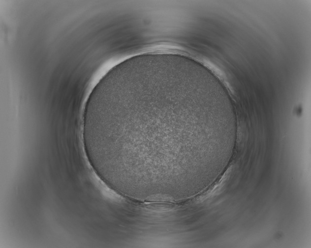 X0000090611478200707241055