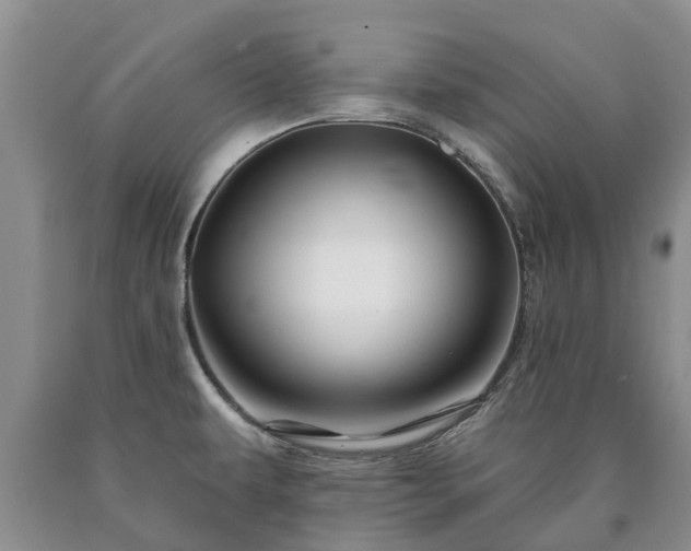 X0000090611479200707241055