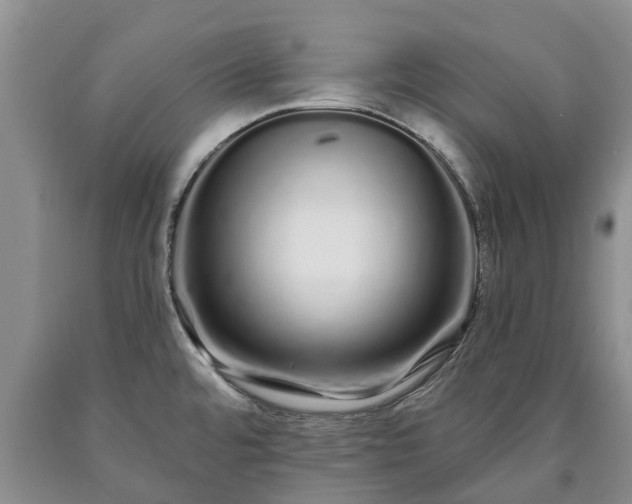 X0000090611480200707241055