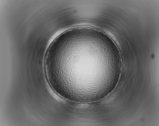 X0000090611482200707241055