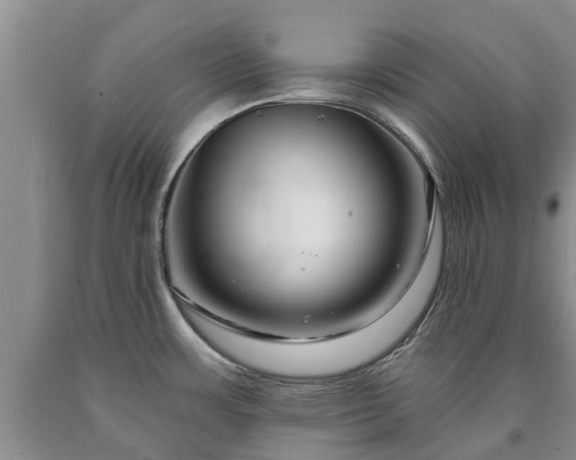 X0000090611483200707241055