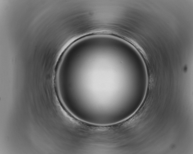 X0000090611484200707241055