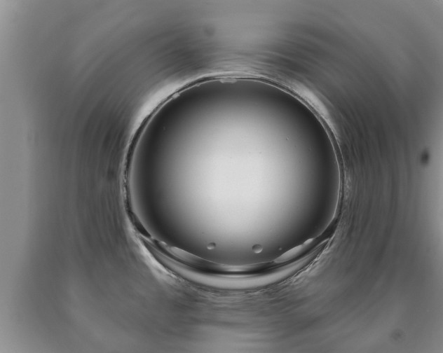 X0000090611485200707241055