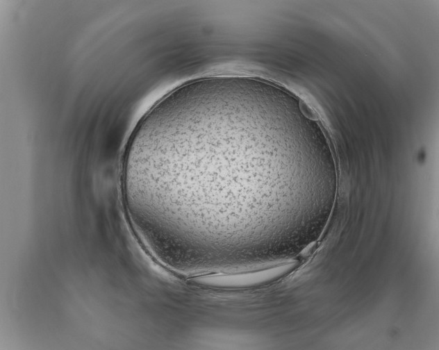 X0000090611486200707241055