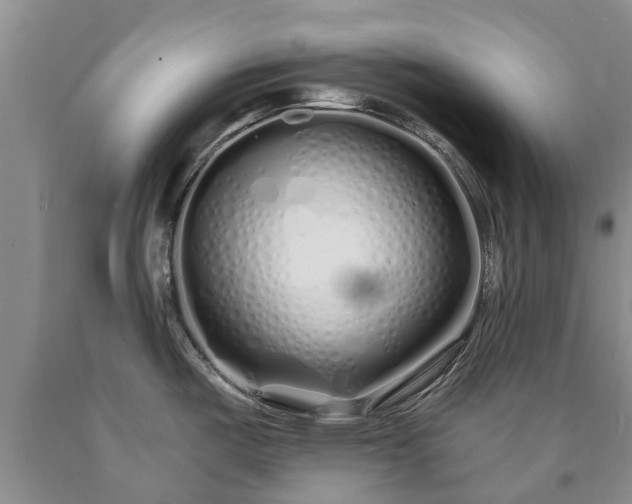 X0000090611487200707241055