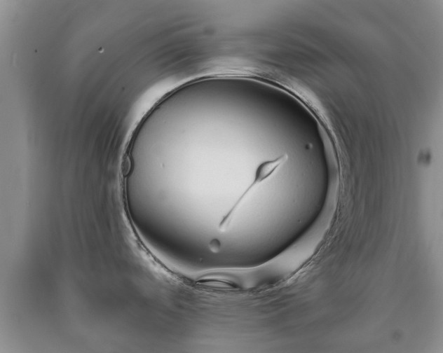 X0000090611488200707241055