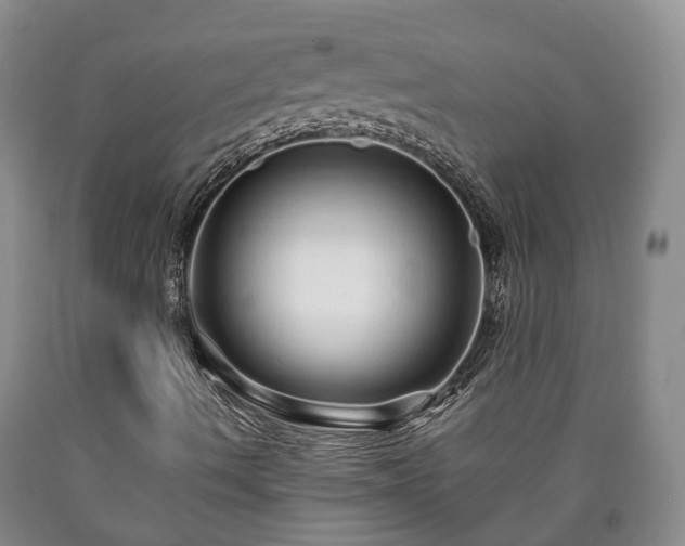 X0000090611490200707241055