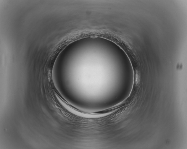 X0000090611492200707241055