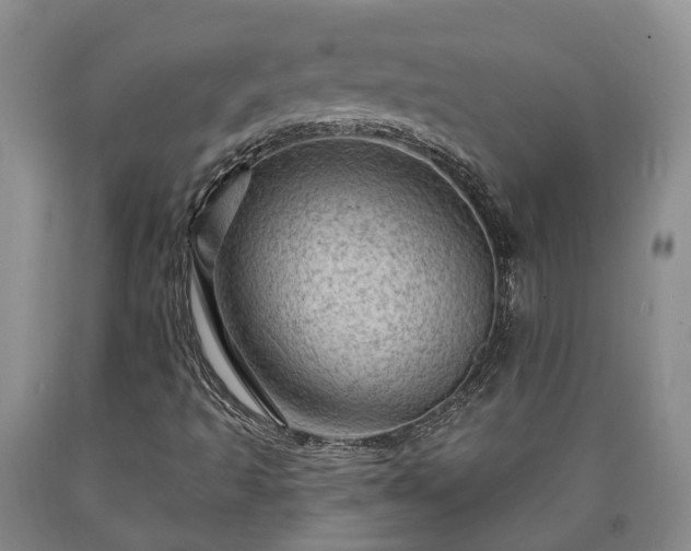 X0000090611493200707241055