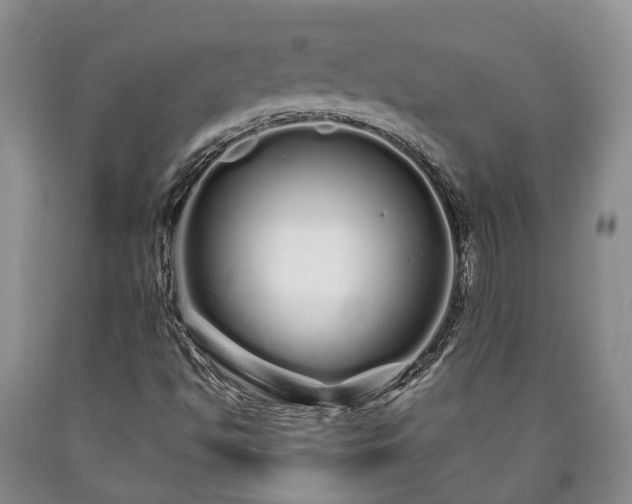 X0000090611494200707241055