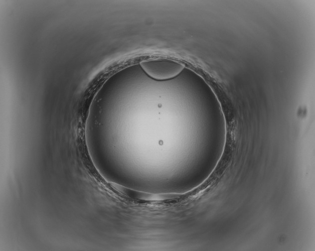 X0000090611495200707241055