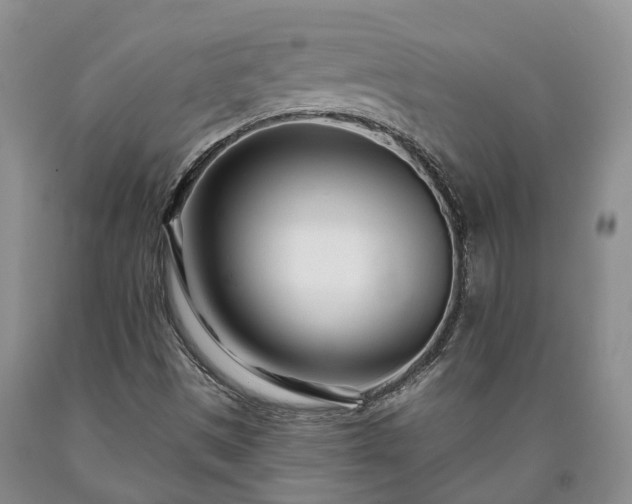 X0000090611497200707241055