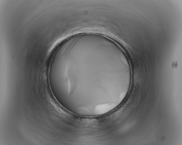 X0000090611498200707241055