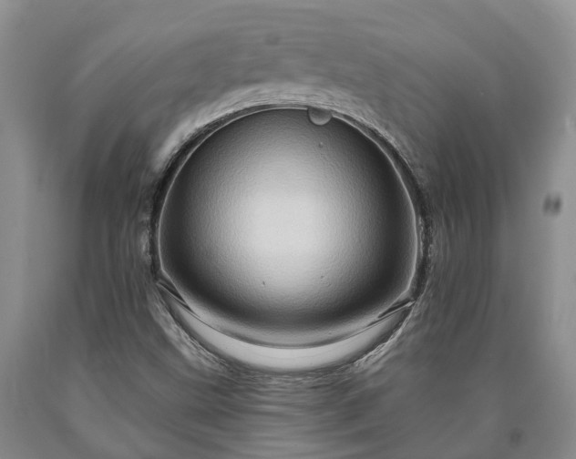 X0000090611499200707241055