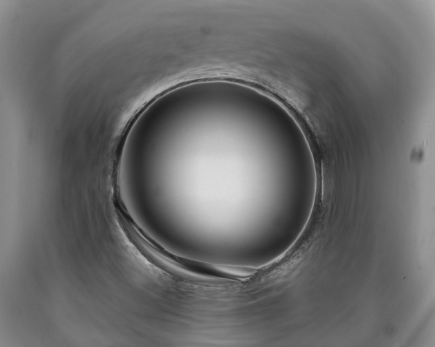 X0000090611500200707241055