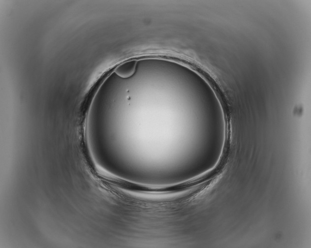 X0000090611501200707241055