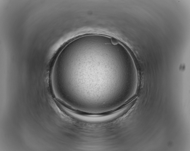 X0000090611503200707241055