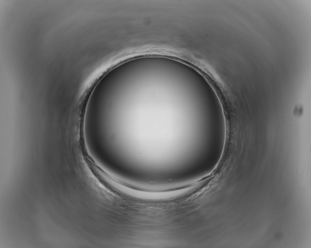 X0000090611504200707241055