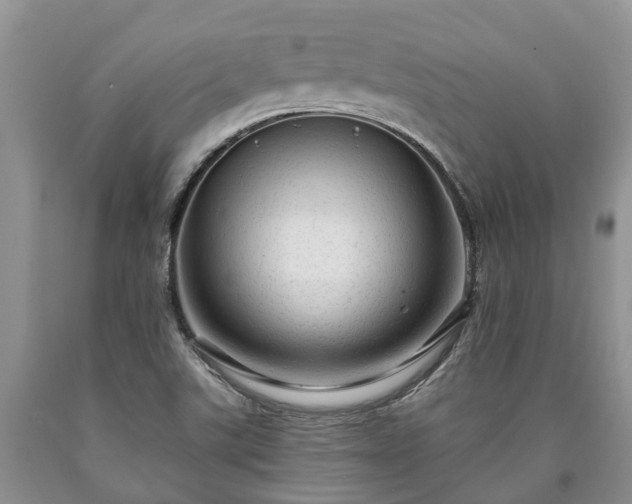 X0000090611507200707241055