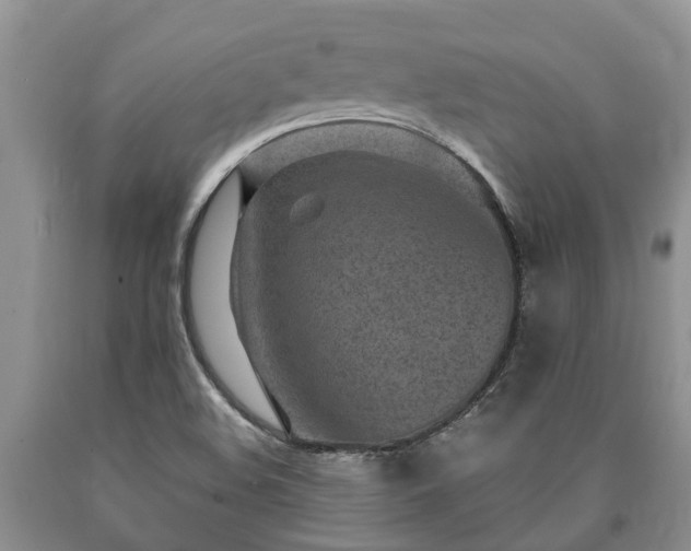 X0000090611508200707241055