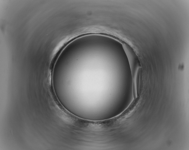 X0000090611509200707241055