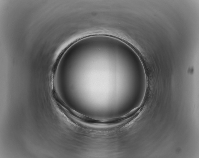 X0000090611510200707241055