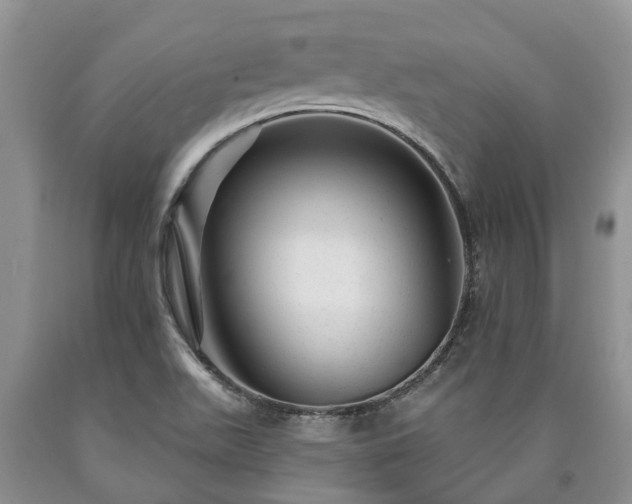 X0000090611511200707241055