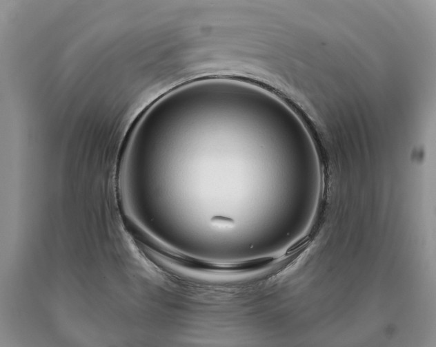 X0000090611513200707241055