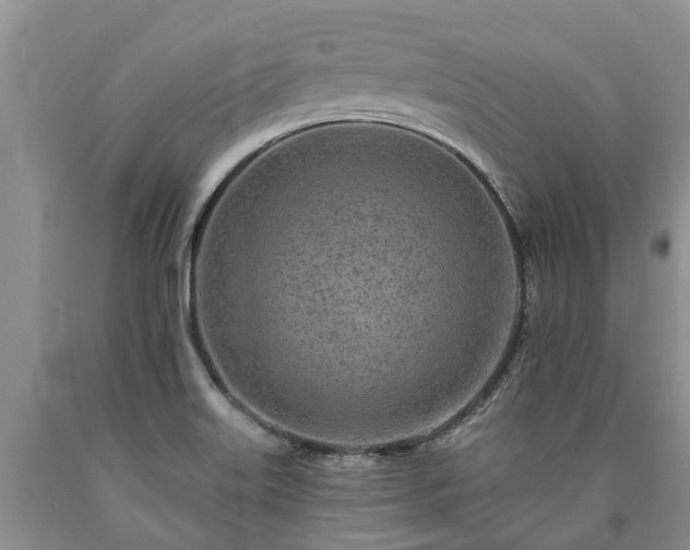 X0000090611515200707241055