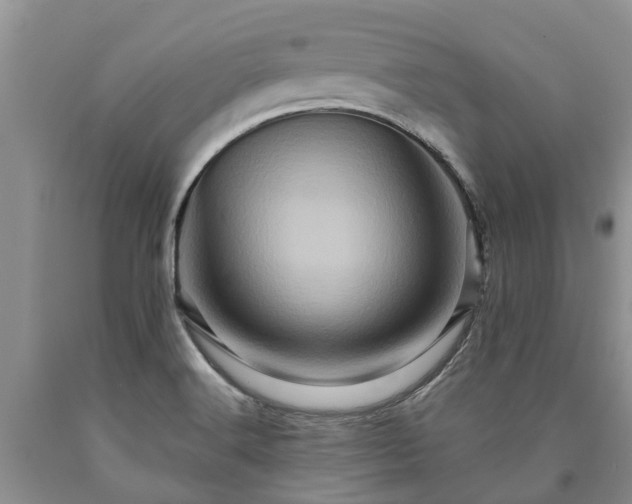 X0000090611516200707241055