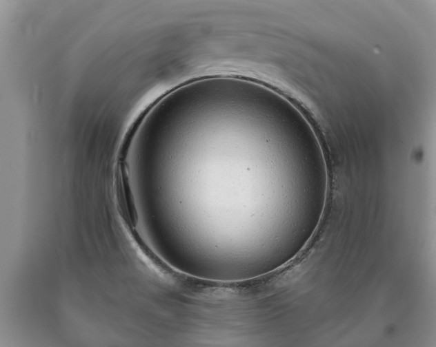 X0000090611517200707241055