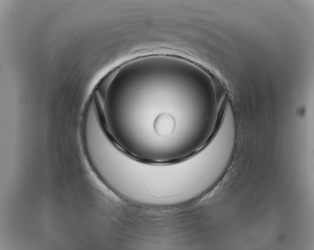 X0000090611518200707241055