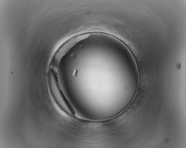 X0000090611519200707241055