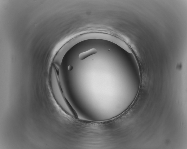 X0000090611520200707241055