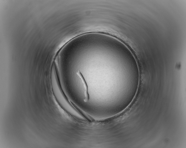 X0000090611521200707241055