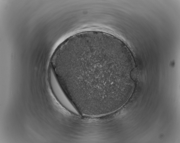 X0000090611522200707241055