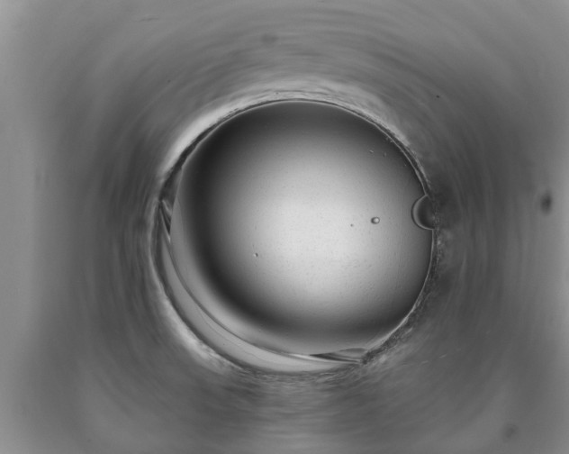 X0000090611523200707241055