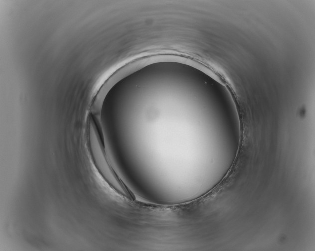 X0000090611524200707241055