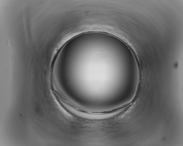 X0000090611525200707241055