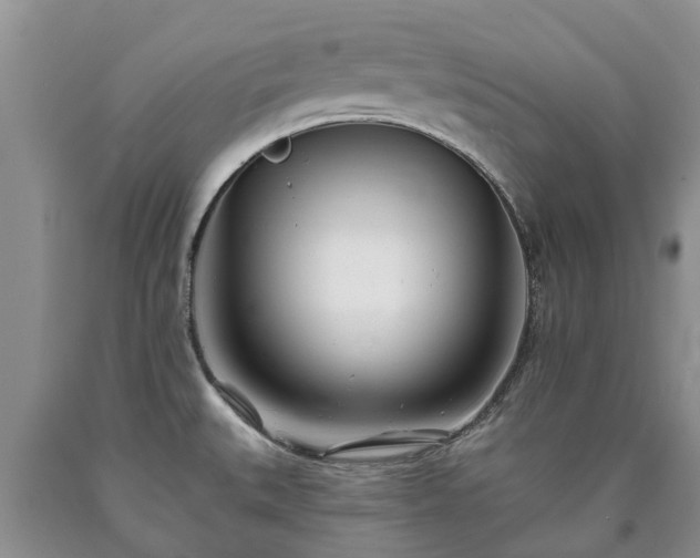 X0000090611527200707241055