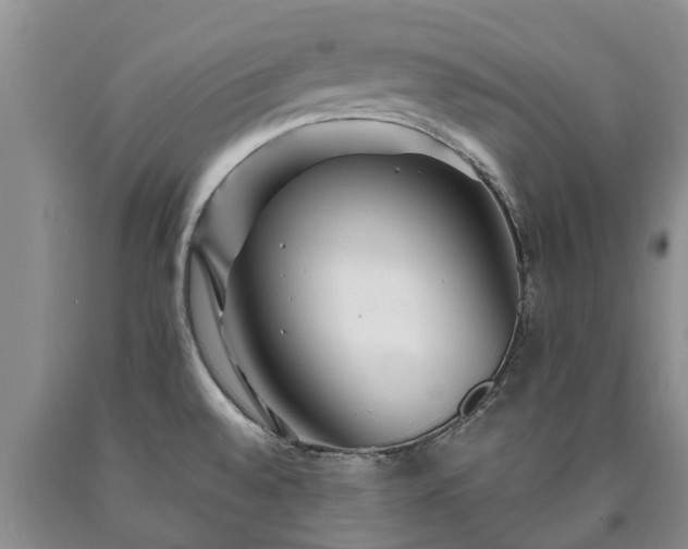 X0000090611528200707241055