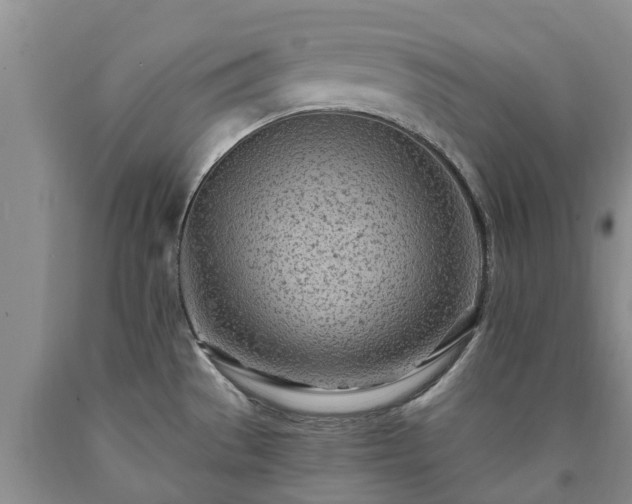 X0000090611529200707241055