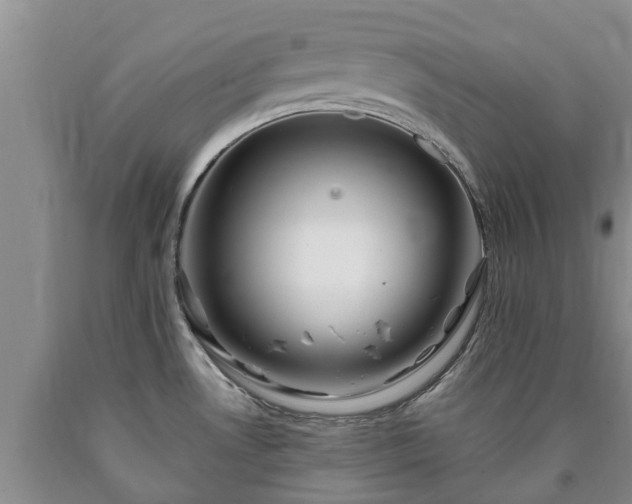 X0000090611530200707241055