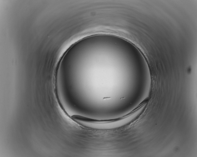 X0000090611531200707241055