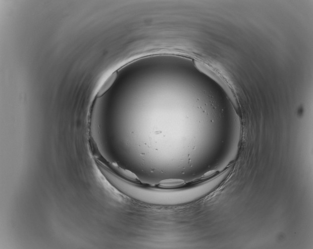 X0000090611532200707241055