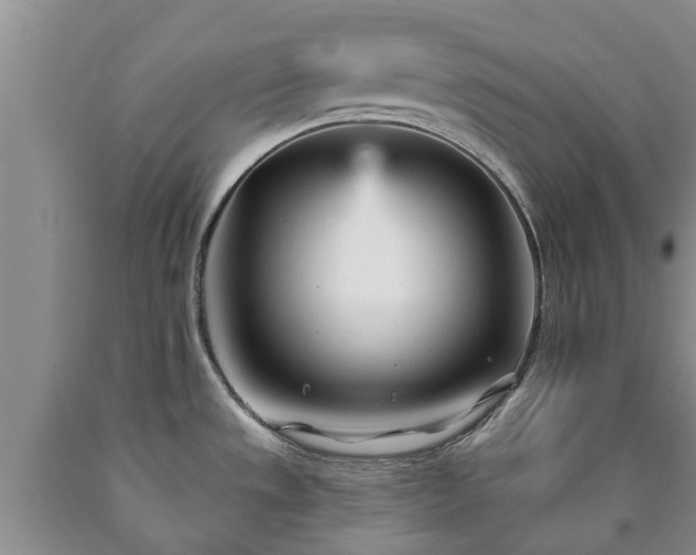 X0000090611533200707241055