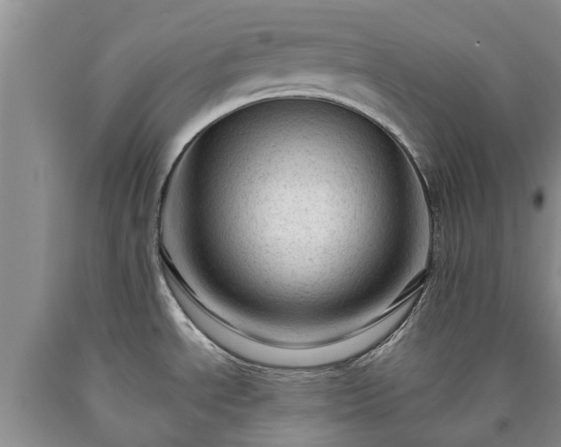 X0000090611534200707241055